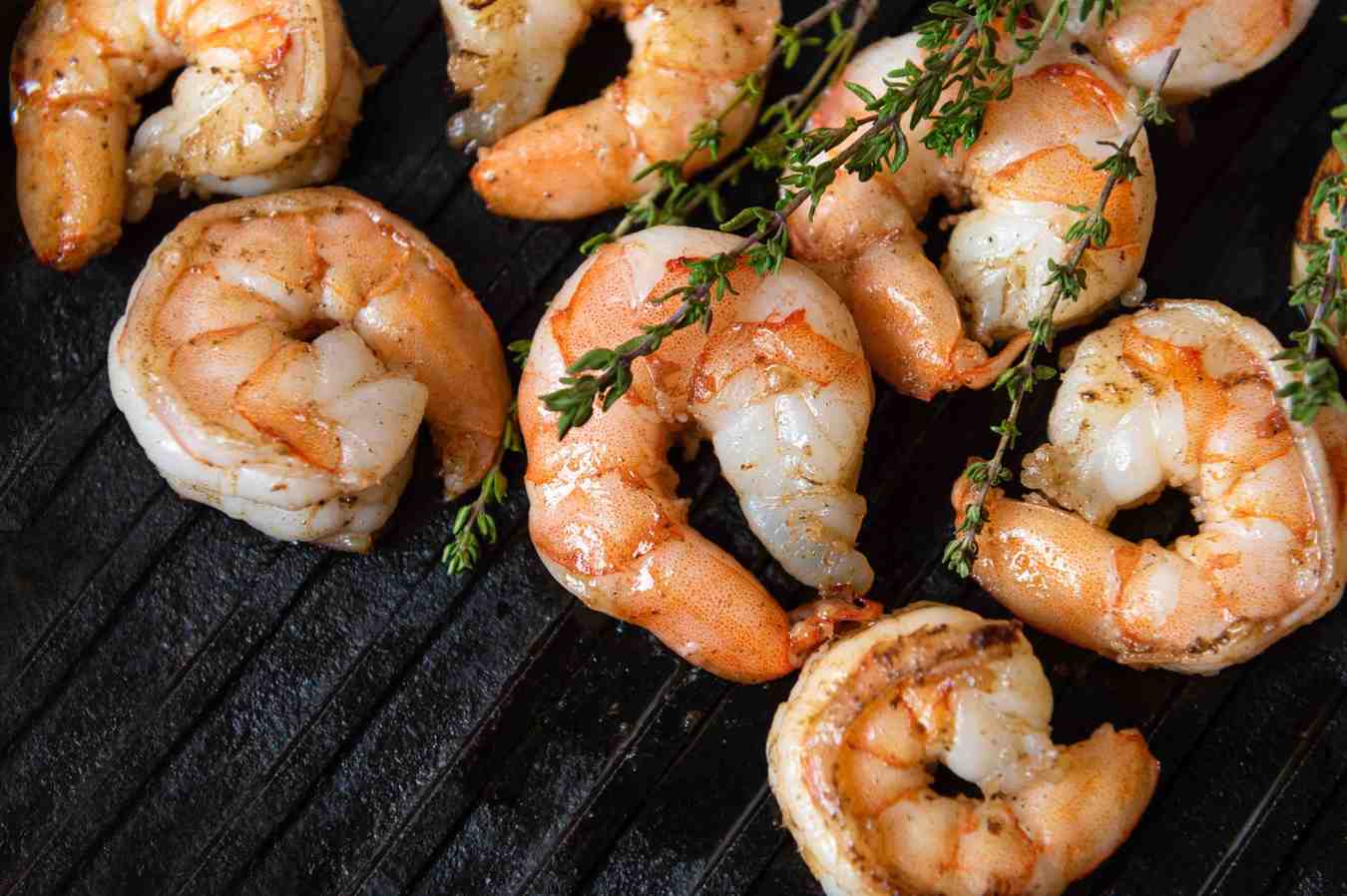 Shrimp