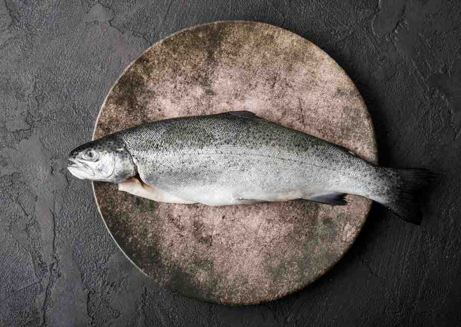 Atlantic Salmon