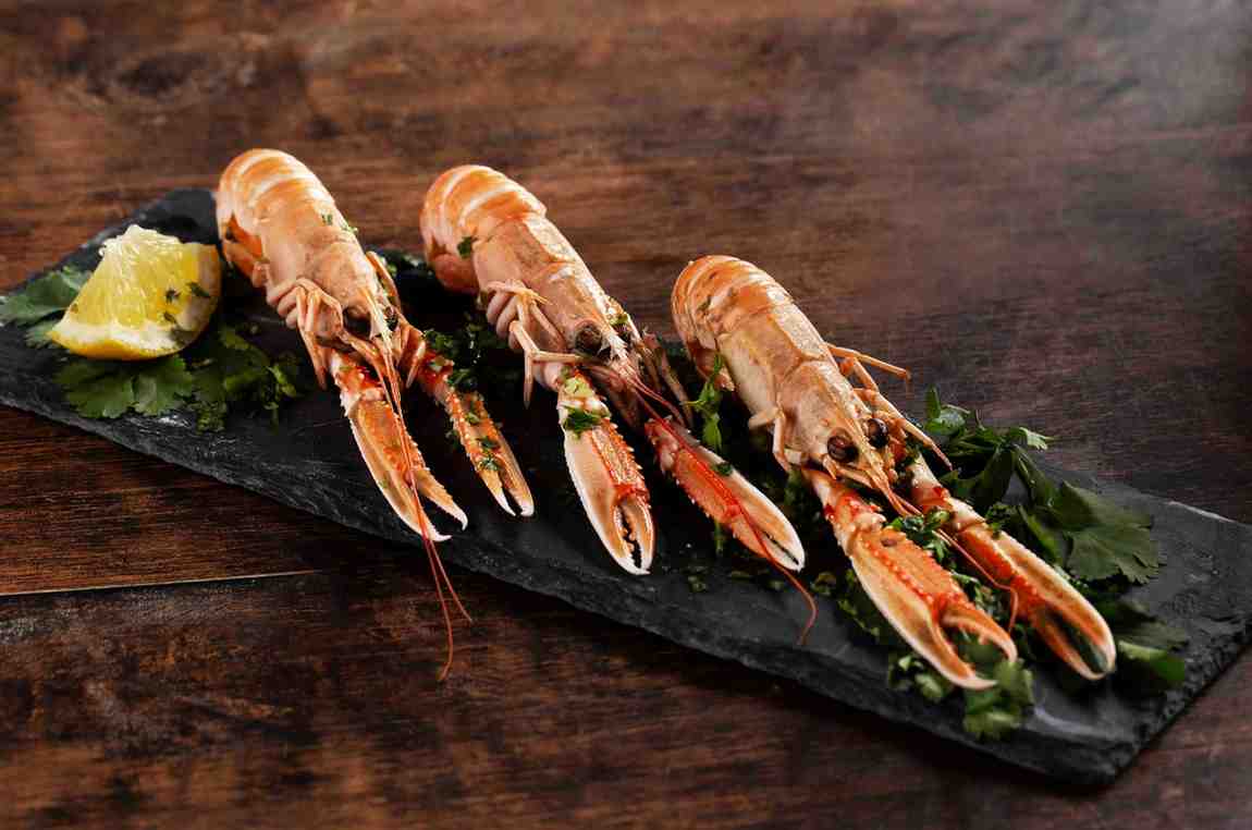 Black Tiger Shrimp (Penaeus monodon)