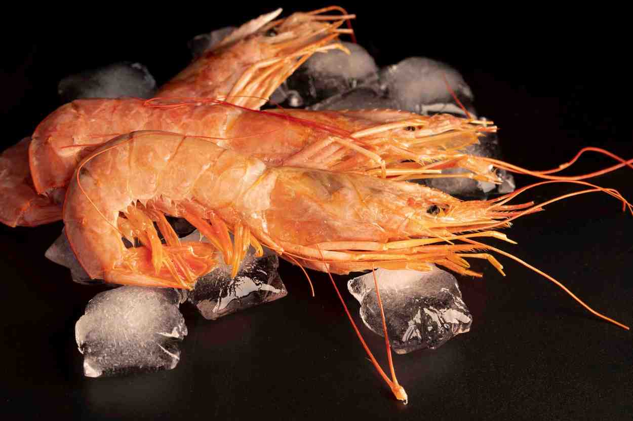 IQF Frozen Shrimp