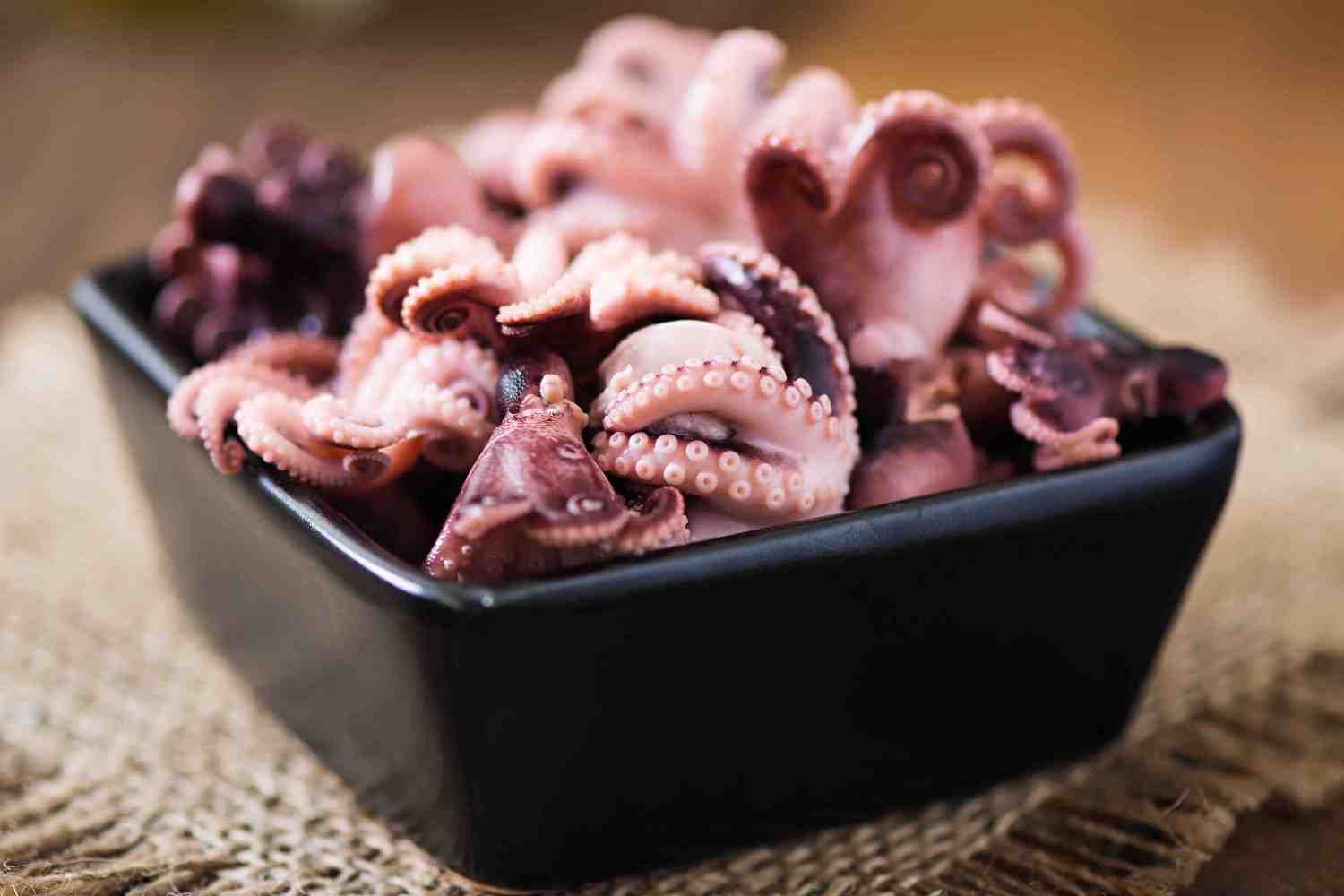 Squid